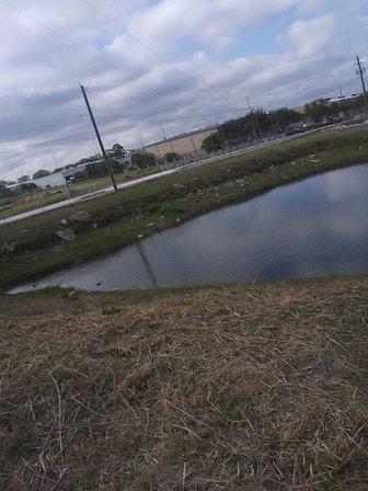 CEMEX Oldsmar Concrete Plant
