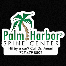 Palm Harbor Spine Center