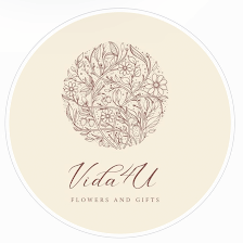 Vida4u llc