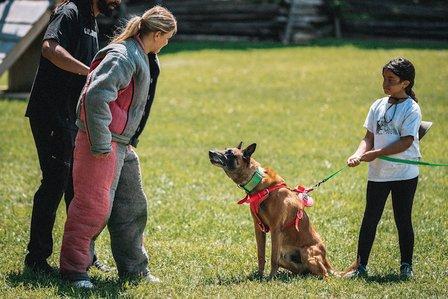 Grassroots K9 Sarasota
