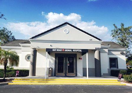 Bay Road Animal Hospital