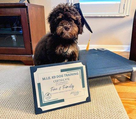 M.I.E. K9 Dog Training