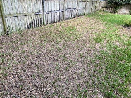 All Phaze Irrigation