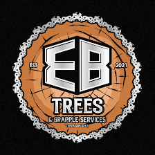 EB Trees and Landscape