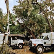 Veteran Tree Service