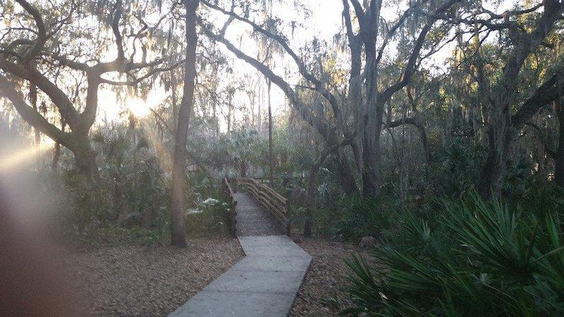 Marshall Street Park
