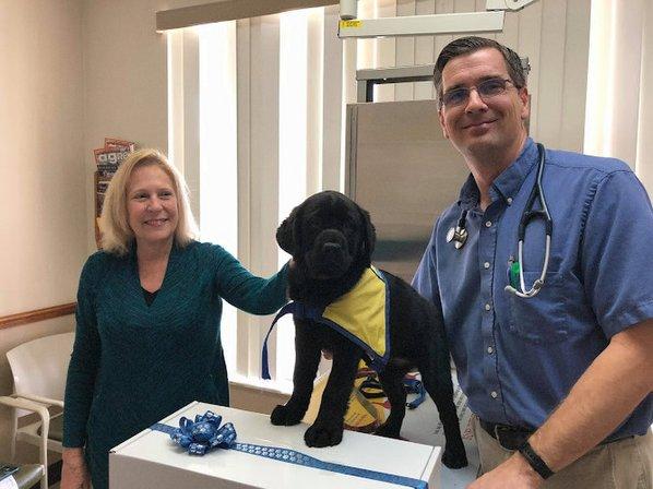 Highland Square Family Vet