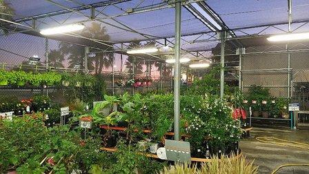 Walmart Garden Center