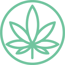 Cannabis Doc - Bradenton Medical Marijuana Doctors & Marijuana Cards