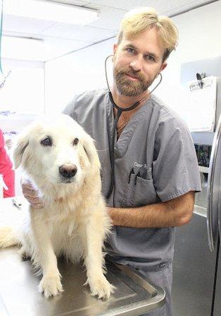 Palma Sola Animal Clinic