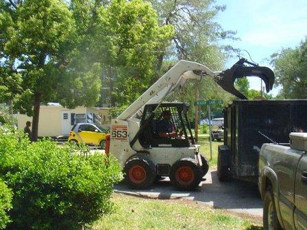 USA Tree Service