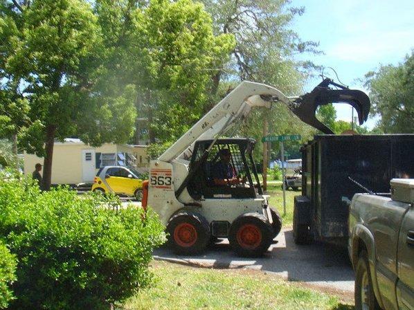 USA Tree Service