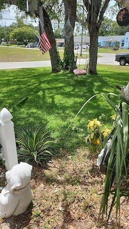 Suncoast Turf Care & Pest Management