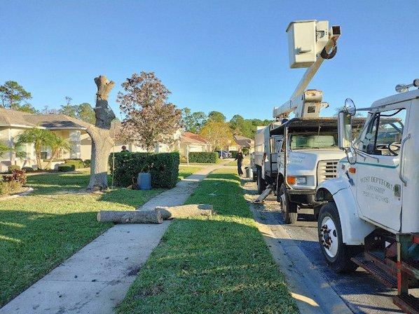 Veteran Tree Service