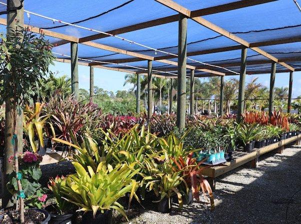 Beltran's Nursery & Landscape