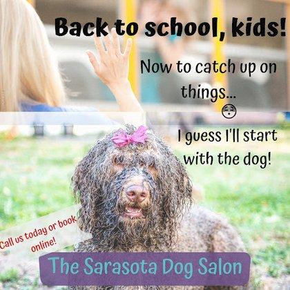 The Sarasota Dog Salon