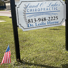 Land O' Lakes Chiropractic