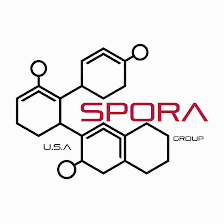 Spora Mold Remediation - New Port Richey