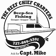 The Reef Chief Charters
