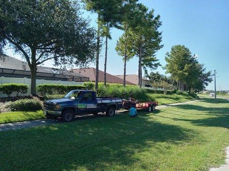K and T Tree Service