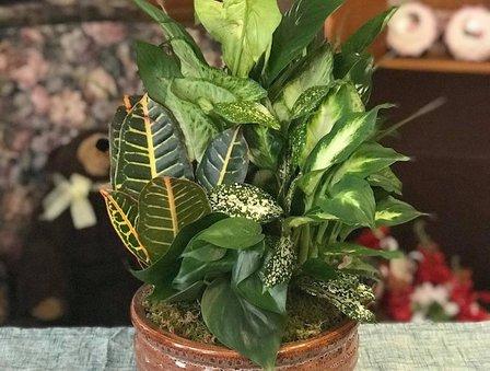 Flowers From The Heart