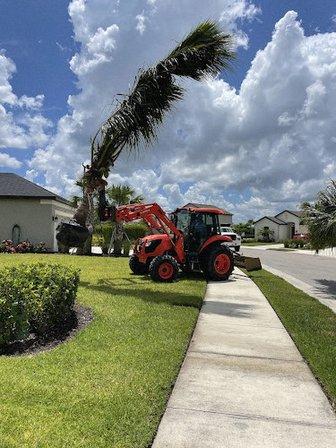Cayo Coco Landscaping LLC