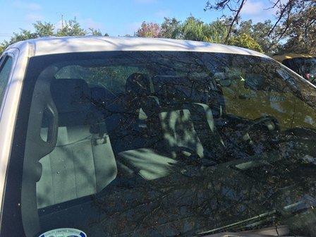 Mainstreet Auto Glass