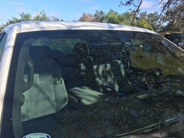 Mainstreet Auto Glass