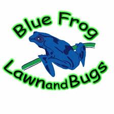 Blue Frog Lawn & Bugs