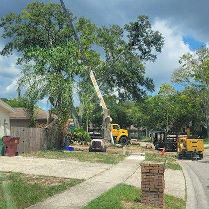 Morris Tree Service
