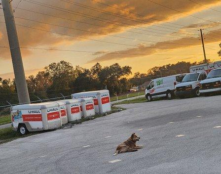 U-Haul Neighborhood Dealer