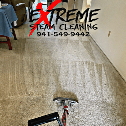Extreme Steam Cleaning Services