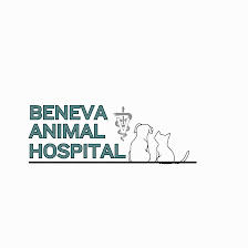 Beneva Animal Hospital Inc