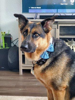West Coast Veterinary Center