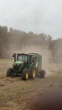 Sam Cone LLC dba Cone Farms