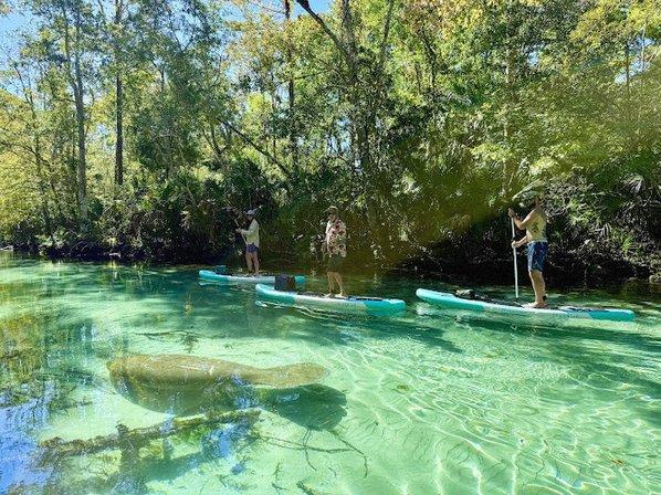 Paddle Coast