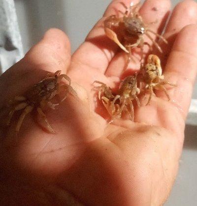 Friendly Fisherman's Bait Tackle & seafood Llc.