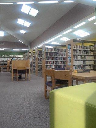 South Holiday Library