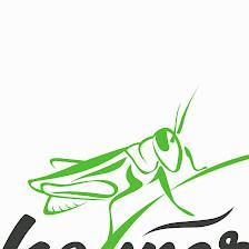 Grasshopper Lawn Care