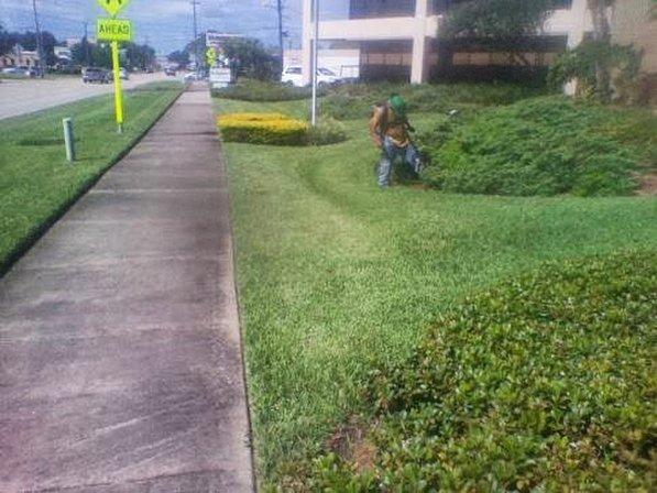 Grasshopper Lawn Care