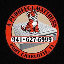 A Purrfect Mattress