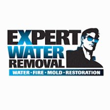 Expert Water Removal