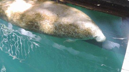 Manatee County Natural Resources