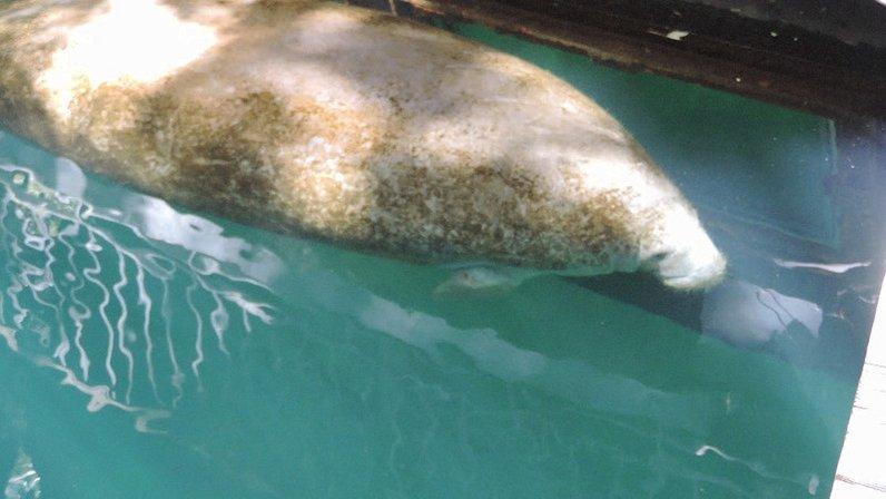 Manatee County Natural Resources