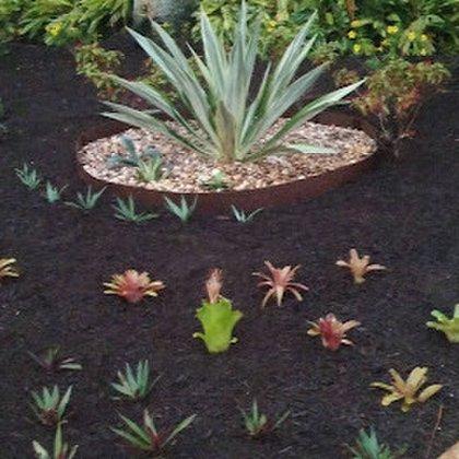 Newscape Lawn Care and Landscaping LLC