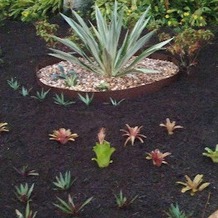 Newscape Lawn Care and Landscaping LLC