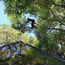 Arbor Tree Rescue