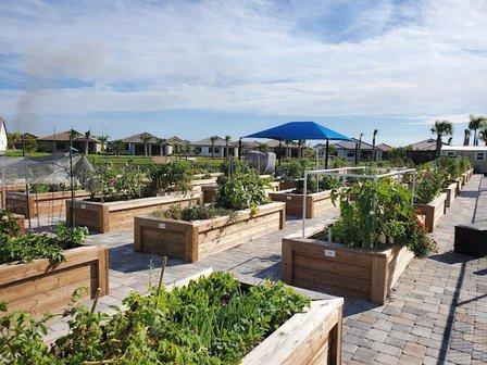 IslandWalk Community Garden