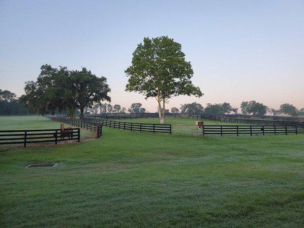 Bridlewood Farm