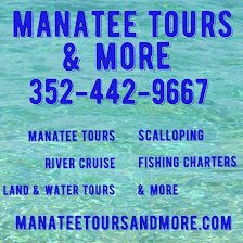 Manatee Tours and More